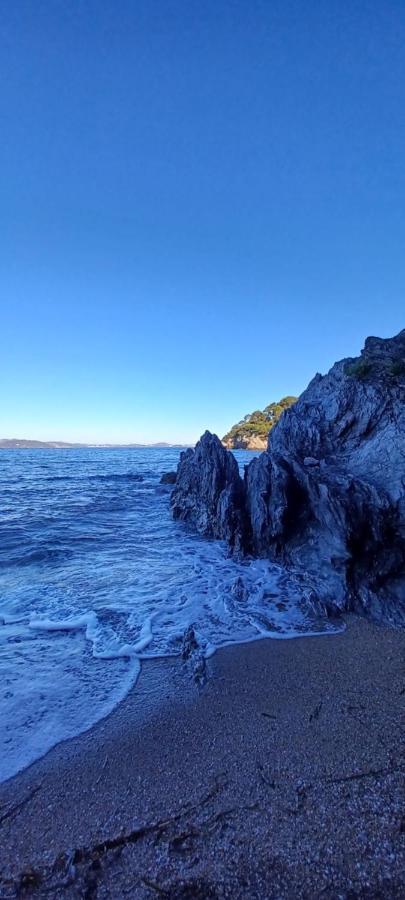 Escapade Leilighet Toulon Eksteriør bilde
