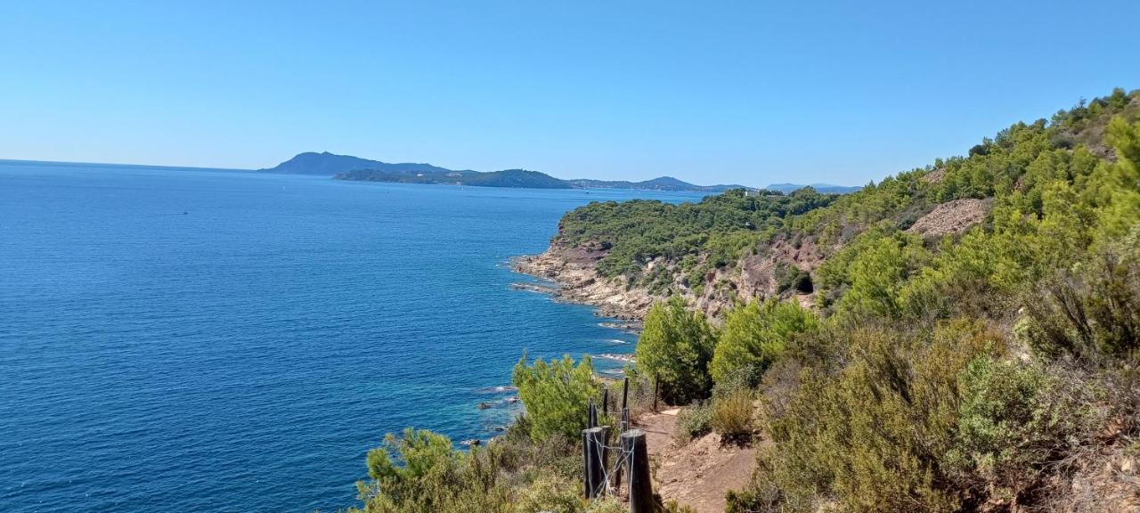 Escapade Leilighet Toulon Eksteriør bilde