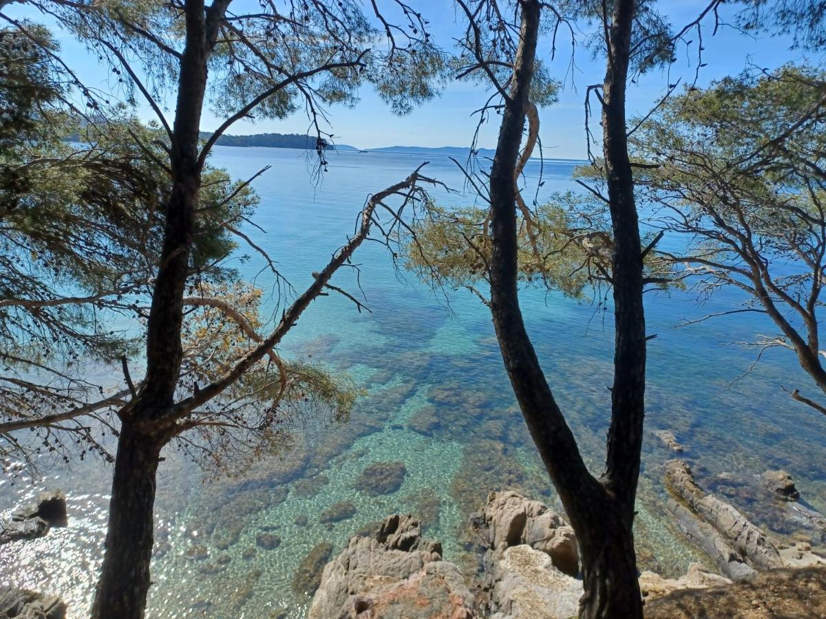 Escapade Leilighet Toulon Eksteriør bilde