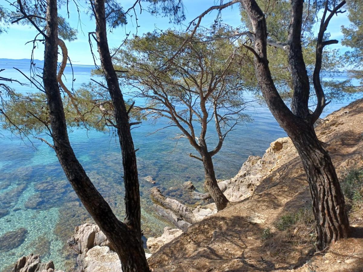 Escapade Leilighet Toulon Eksteriør bilde