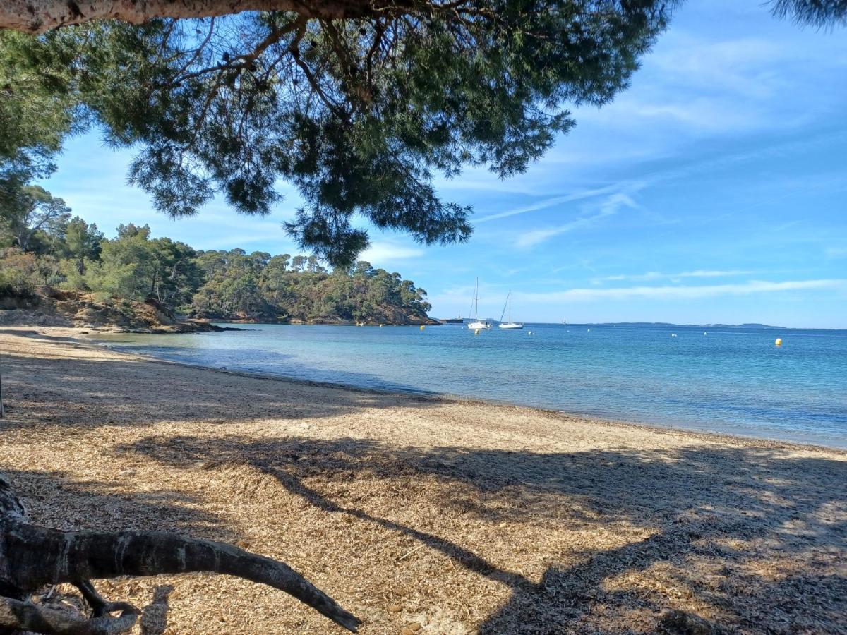 Escapade Leilighet Toulon Eksteriør bilde